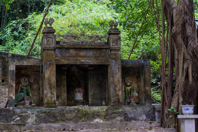 Hoa Lu - Mua Cave - Tam Coc/Trang An - DELUXE Small Group Tour - Why this Ninh Binh day trip works from Hanoi