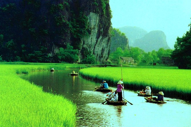 Hoa Lư Tam Coc & Mua Cave full day Including Buffets Lunch - Why this Ninh Binh day trip works