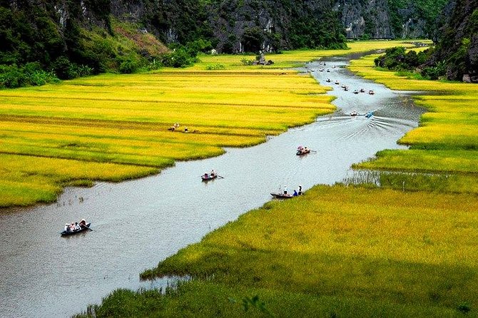 Hoa Lư Tam Coc & Mua Cave full day Including Buffets Lunch - Buffet lunch near Tam Coc