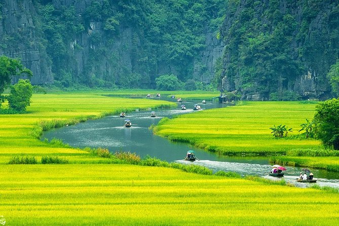 Hoa Lư Tam Coc & Mua Cave full day Including Buffets Lunch - The Ngo Dong River boat ride