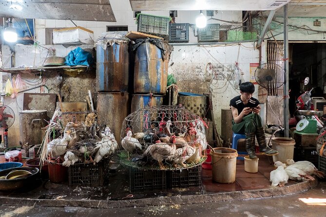 Into the Thieves Market Hanoi Photo Tour - Weather, timing, and what to bring