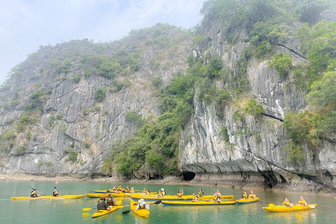 Lan Ha Bay day tour from Cat Ba, Hanoi - Serenity Boutique Cruise - Guides, group size, and service