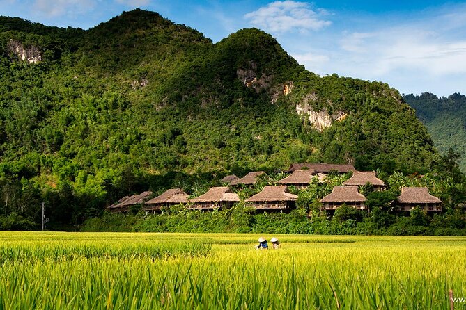 Luxury Mai Chau Day Tour from Hanoi - Lunch with a local balance of flavors