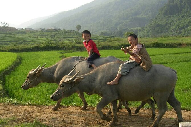 Luxury Mai Chau Day Tour from Hanoi - What the $99 price really covers