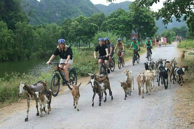 Luxury small Group Hoa Lu - Tam Coc - Mua Cave Max 6 - 8 pax/tour - Mua Cave and the 500-step test