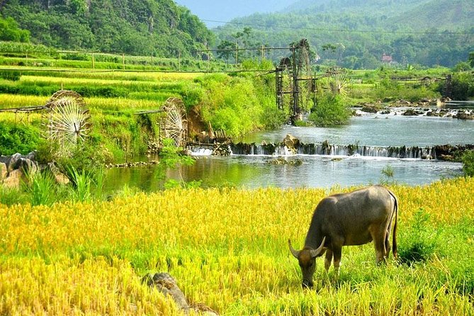 Mai Chau 1 Day Tour From Hanoi - Thai stilt houses and village life