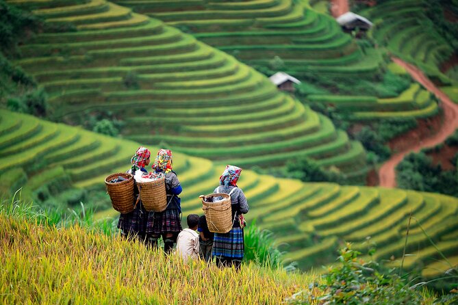 Mai Chau Day Tour from Hanoi – Bike & Ethnic Village Experience - Thai culture, stilt houses, and village crafts