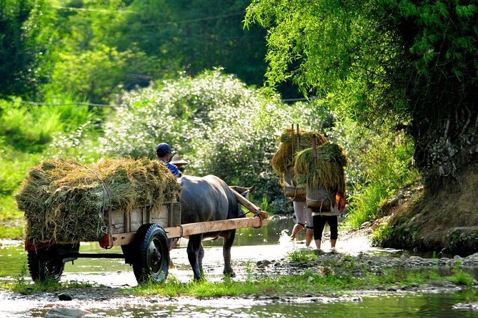 Mai Chau Private Day Tour: Hiking & Biking in Pristine Landscapes - The 8:00 a.m. pickup and the road south
