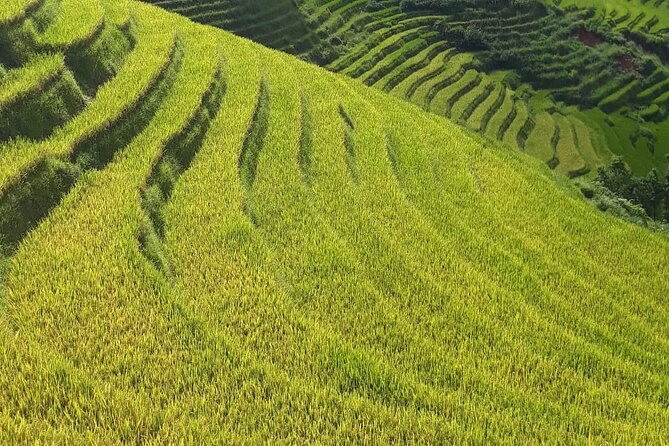 Mai Chau – Pu Luong 2D1N - From Hanoi to the wide view at Thung Khe Pass