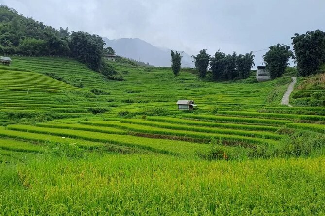 Mai Chau – Pu Luong 2D1N - The pace, comfort, and practical compromises