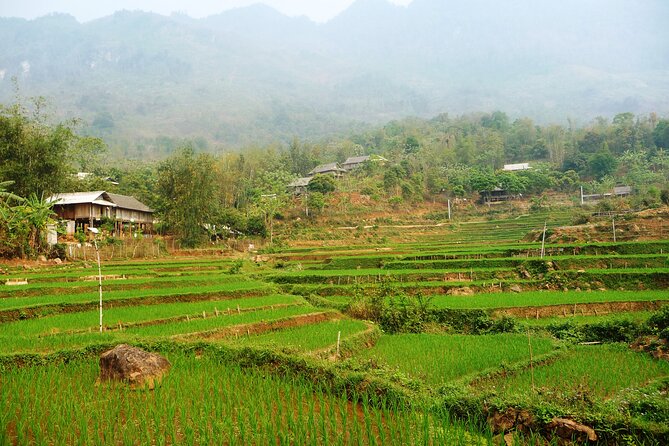 Mai Chau – Pu Luong 2D1N - Who will get the most from this trip