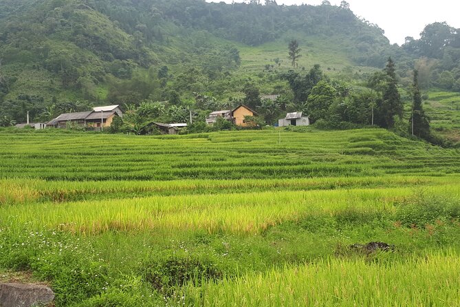 Mai Chau – Pu Luong 2D1N - Walking the villages around Pu Luong