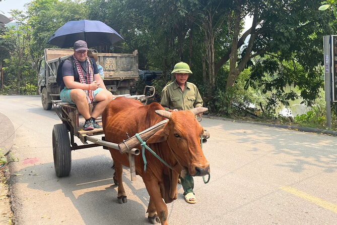 Majestic Ninh Binh Discovery: Mua Cave & Tam Coc private tour - Who should book this private tour?