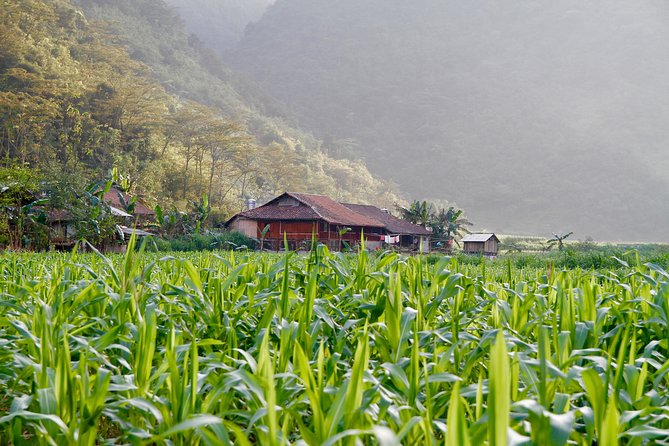 Majesty Of Untouched Northern Vietnam Tour 6 Days - Day 6: Boat trip, Cam Village, and Puong Cave
