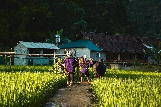 Majesty Of Untouched Northern Vietnam Tour 6 Days - Is $766.09 a fair price?