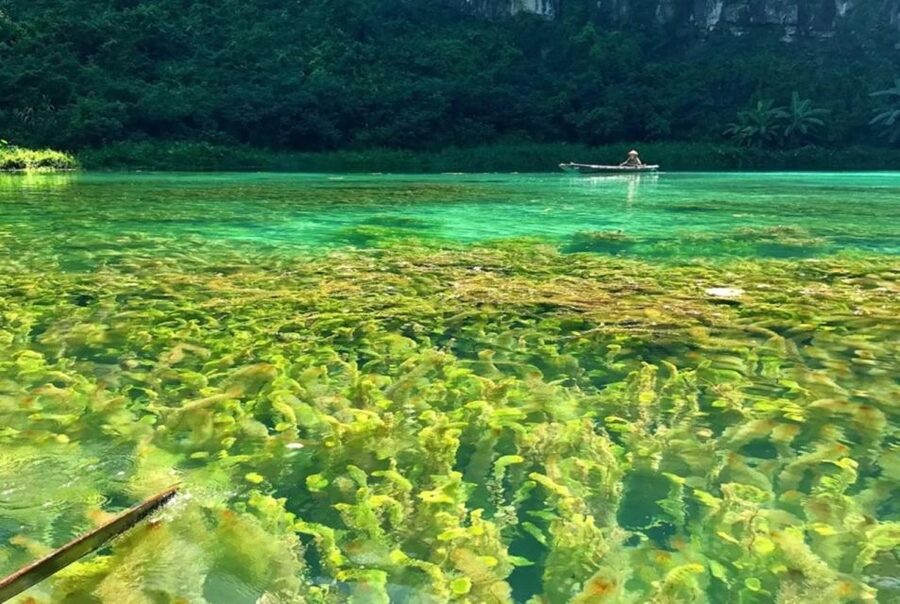 Ninh Binh 1-day tour Bai Dinh Trang An Mua Cave Small Group - Who should book this Ninh Binh tour