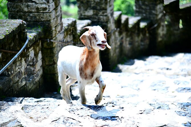 Ninh Binh 2 days 1 night Tour from Hanoi (Small Group of 9) - Day two begins with a local market