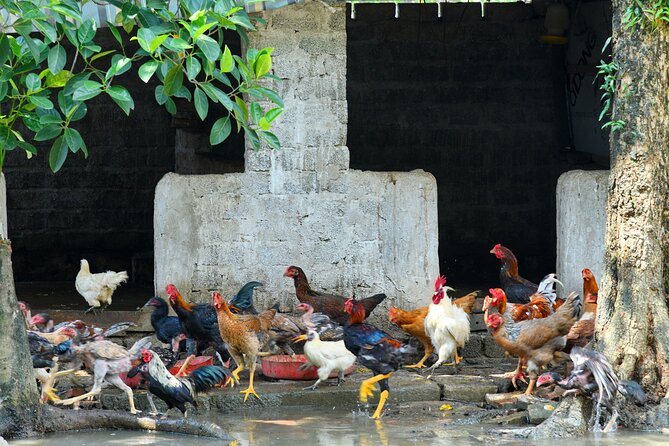 Ninh Binh 2 days 1 night Tour from Hanoi (Small Group of 9) - Thung Nham bird sanctuary adds a different kind of stop