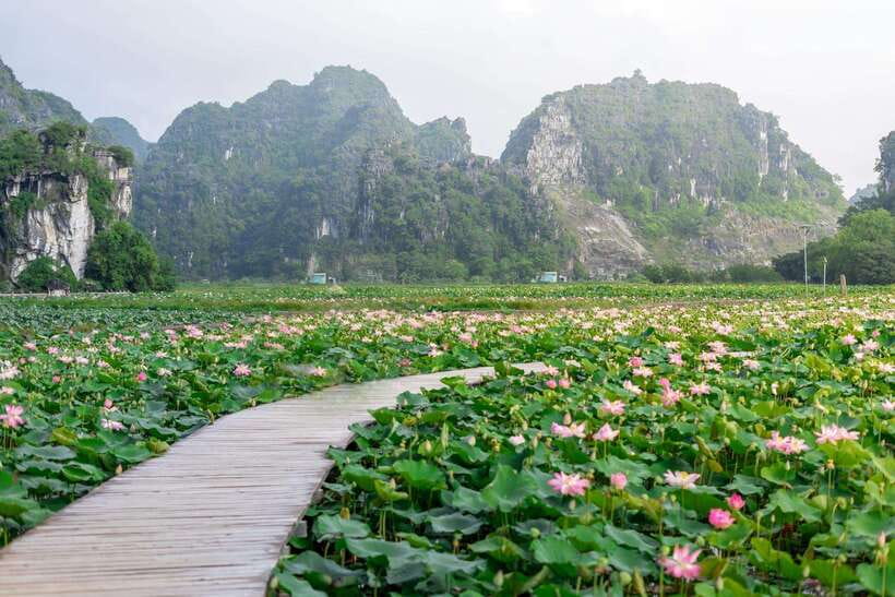 Ninh Binh : Bai Dinh Pagoda, Trang An, and Mua Cave Tour - Trang An by small boat