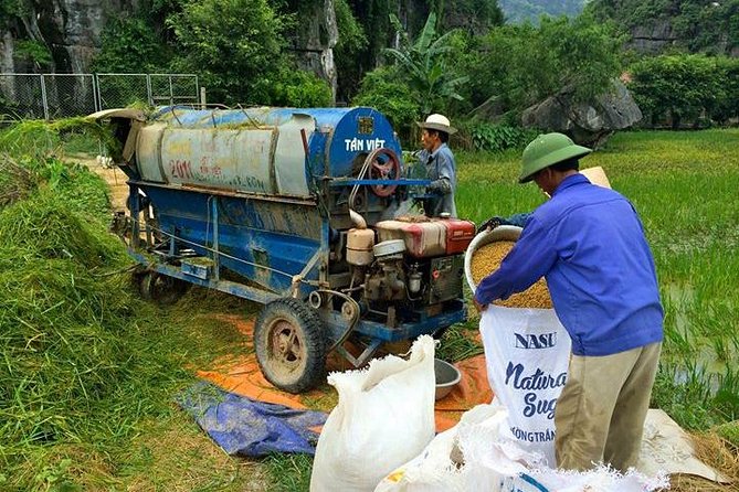 Ninh Binh - Bai Dinh - Trang An full day trip from Hanoi with luxury transfers - Trang An by bamboo boat for about two hours