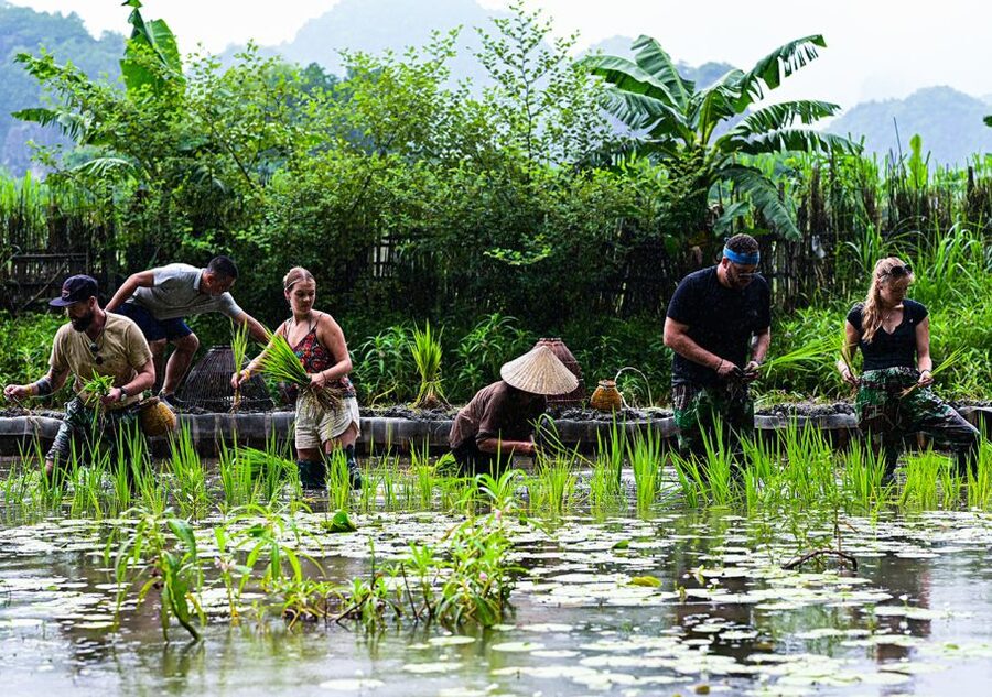 Ninh Binh: Buffalo riding, rice planting group tour - What the $42 price includes