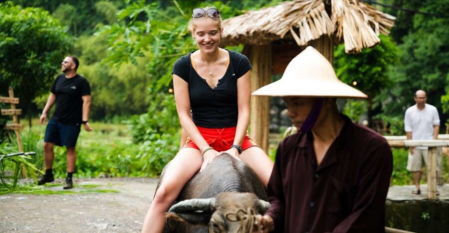 Ninh Binh: Buffalo riding, rice planting group tour - 8:30 arrival and the first look at Buffalo Cave