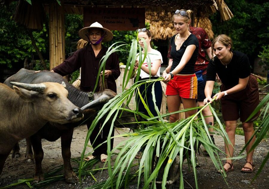 Ninh Binh cooking class at Buffalo Cave - Buffalo Cave, waterfall bathing, and farm life