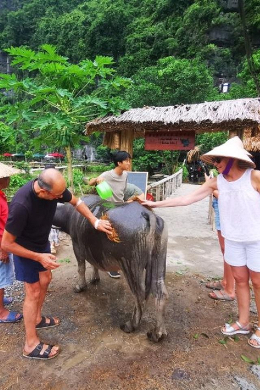 Ninh Binh : Countryside Tour by Motorcycle - Buffalow Riding - Thai Vi Temple and the Tran dynasty