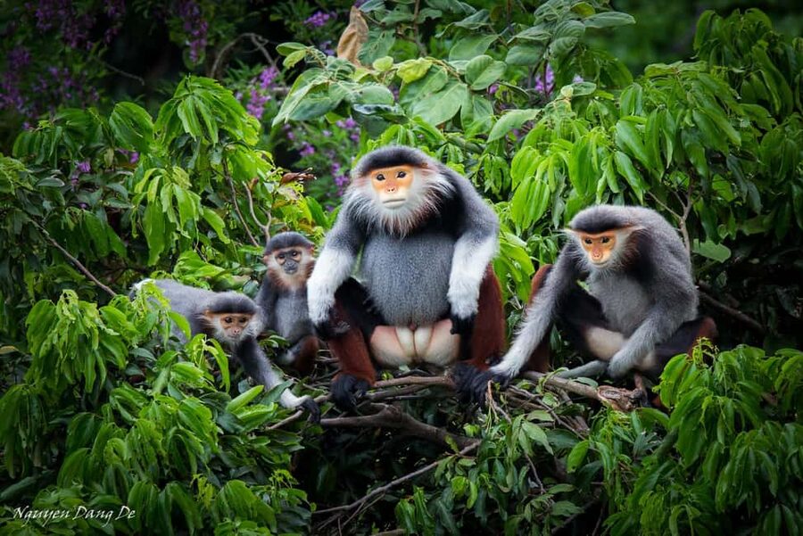 Ninh Binh: Cuc Phuong Jungle Trek, Wildlife & Ancient Caves - Key points to know before you go