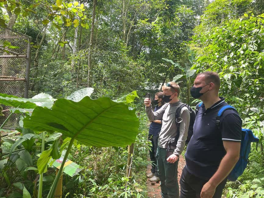 Ninh Binh: Cuc Phuong Jungle Trek, Wildlife & Ancient Caves - A quieter afternoon in Cuc Phuong