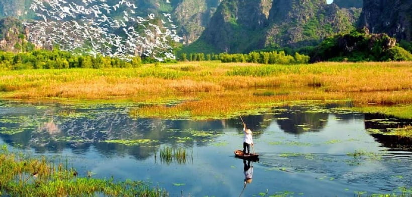 Ninh Binh : Cuc Phuong National Park One Day Group Tour - Why Cuc Phuong Makes a Better Forest Day Than a Quick Park Stop