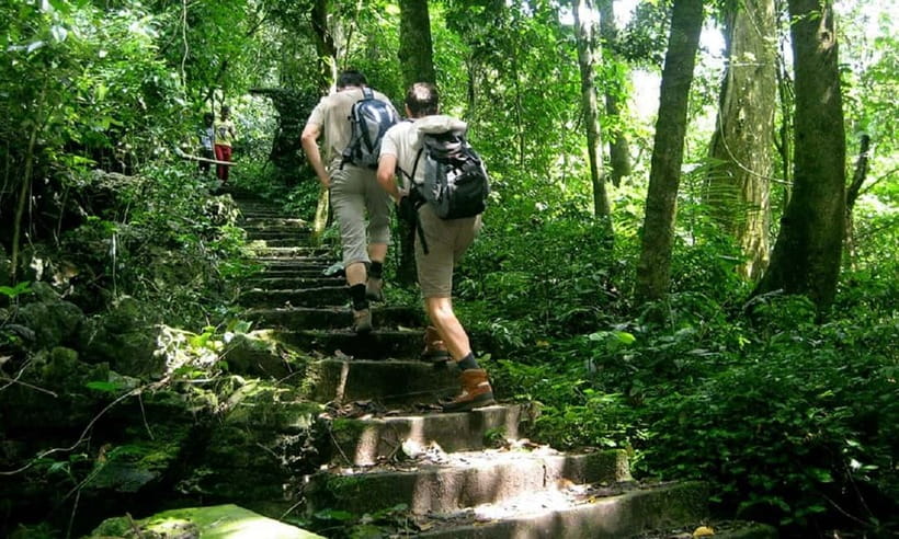 Ninh Binh : Cuc Phuong National Park One Day Group Tour - The 8:30 Pickup and Drive From Ninh Binh