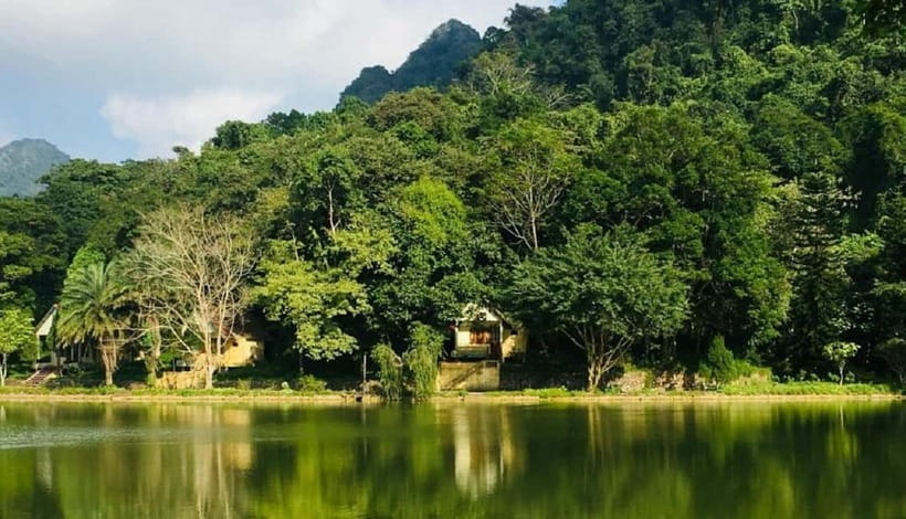 Ninh Binh : Cuc Phuong National Park One Day Group Tour - Botanical Garden and a Vietnamese Lunch