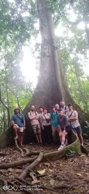 Ninh Binh : Cuc Phuong National Park One Day Group Tour - The Ancient Tree and the Second Forest Walk