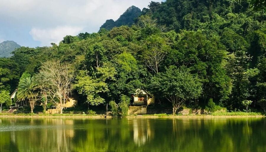 Ninh Binh : Cuc Phuong National Park One Day Group Tour - Who Will Enjoy This Day Most