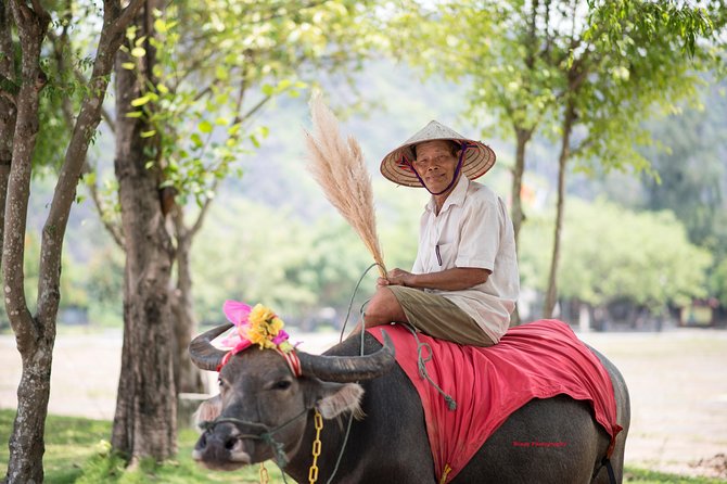 Ninh Binh Daily Tour: Hoa Lu - Tam Coc boat trip and Bike - A Vietnamese buffet lunch keeps the day moving