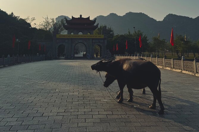 Ninh Binh Day Escape from Hanoi: Local Life, Connection & Tales - Key points at a glance