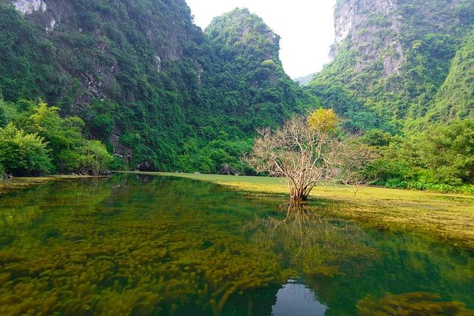 Ninh Binh Day Tour: Bai Dinh Trang An boat trip - Trang An by boat: caves, tunnels, and quiet water