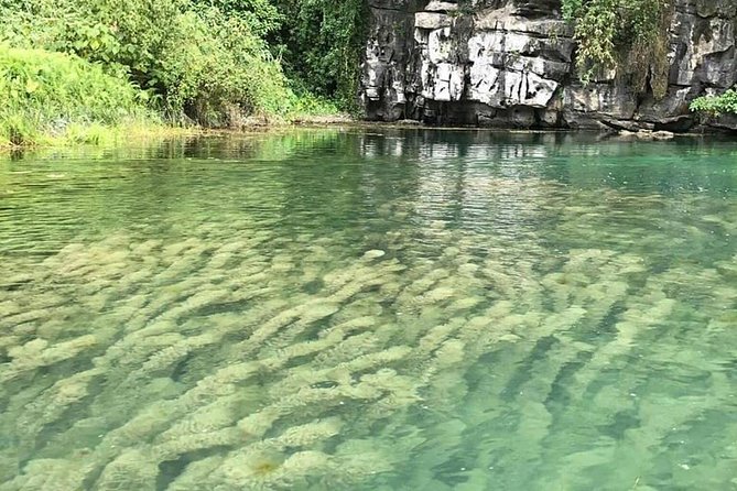 Ninh Binh Day Tour: Bai Dinh Trang An boat trip - What the $68 price really covers