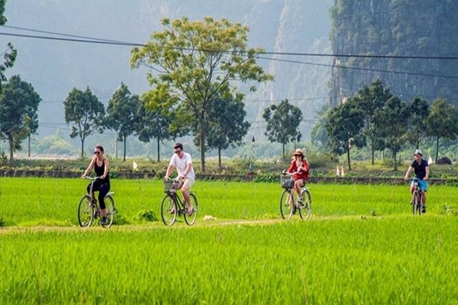 Ninh Binh Day Tour to Hoa Lu Trang An Mua Cave with Buffet Lunch - The Mua Cave climb and the final payoff