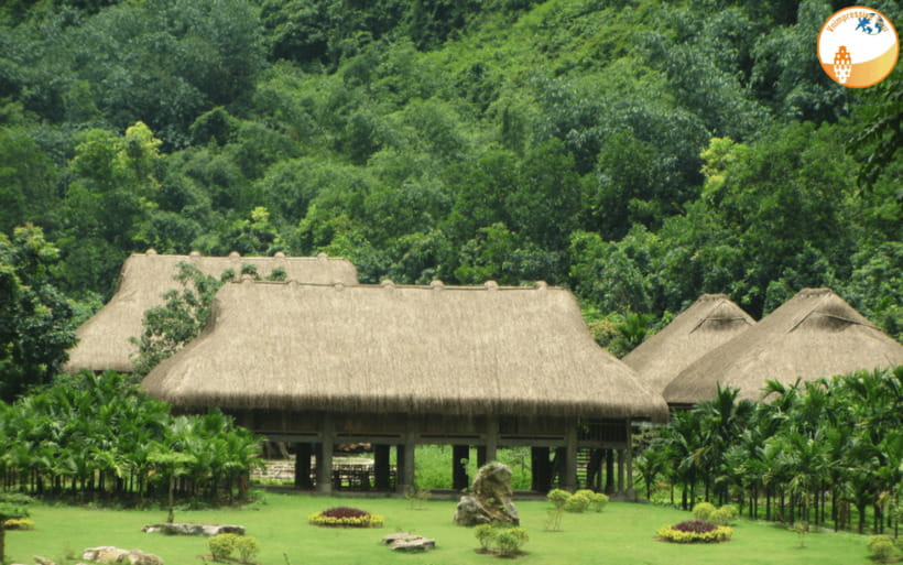 NINH BINH DAY TRIP: HOA LU,MUA CAVES &THUNG NHAM BIRD VALLEY - Buffet lunch and a practical midday pause