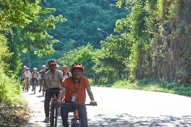 Ninh Binh Day Trip: Hoa Lu-Trang An/Tam Coc-Mua Cave-Cycling-Boat - Vietnamese buffet lunch, with mixed expectations