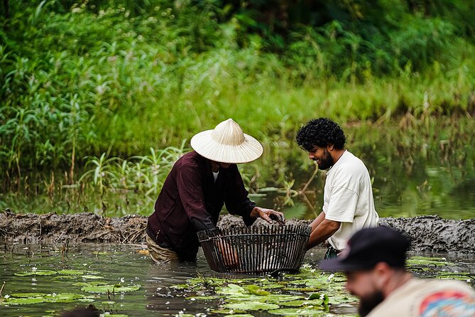 Ninh Binh eco group tour - Buffalo riding, rice planting, fishing - Meeting the buffalo and trying a ride