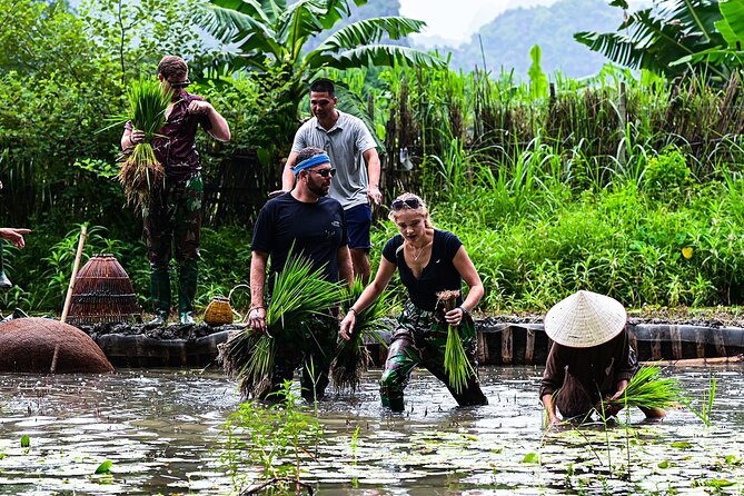 Ninh Binh eco group tour - Buffalo riding, rice planting, fishing - Fishing with simple local methods