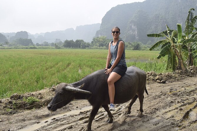 Ninh Binh eco group tour - Buffalo riding, rice planting, fishing - Why the family setting matters