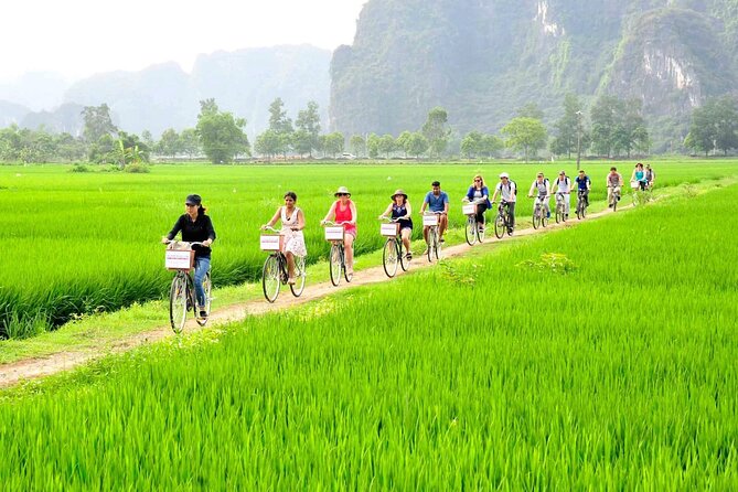 Ninh Binh Full Day Tour with Hoa Lu, Tam Coc and Mua Cave - The 500 Steps at Mua Cave