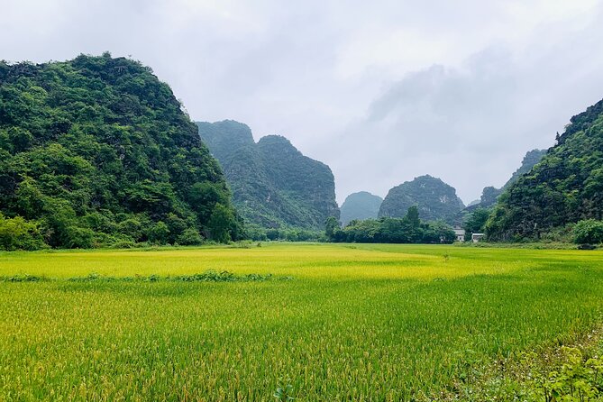 Ninh Binh Full Day Trip From Hanoi To Hoa Lu, Trang An, Mua Cave - The morning ride from Hanoi to Hoa Lu