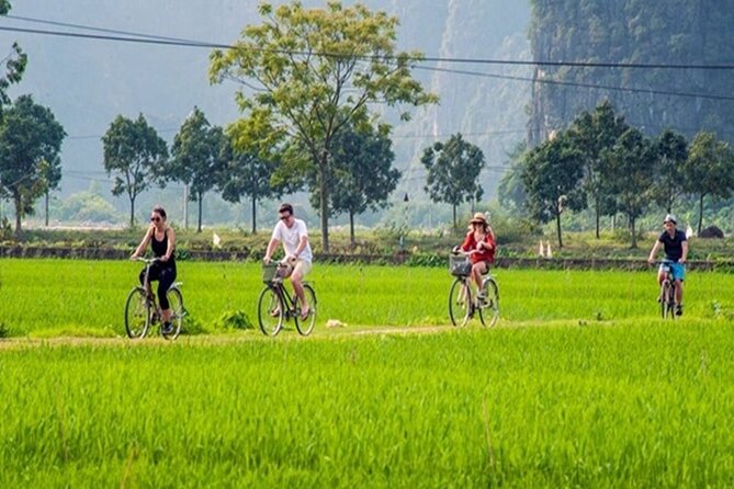Ninh Binh Full-Day Trip to Trang An Mua Cave Hoa Lu Buffet Lunch - Cycling through the Ninh Binh countryside