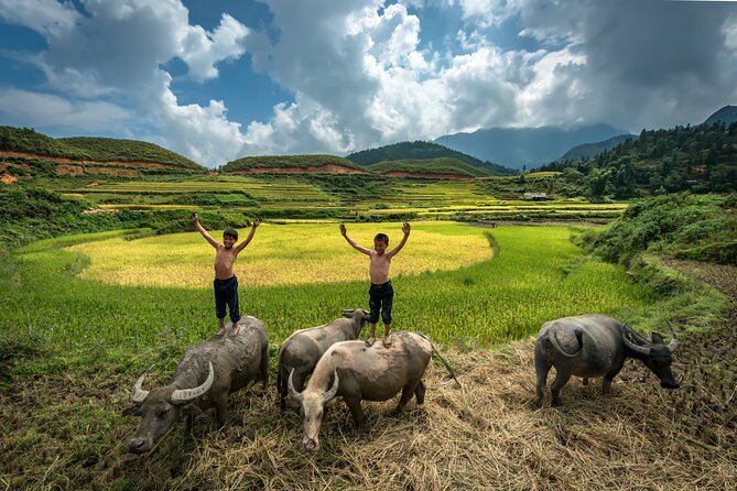 Ninh Binh Group Tour of 11 from Hanoi via Mua Cave Tam Coc Hoa Lu - Hoa Lu adds the historical side