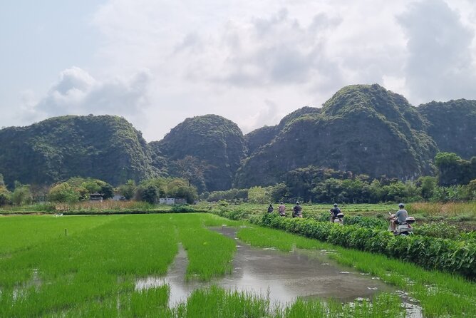 Ninh Binh HIGHTLIGHT & HIDDEN GEM Tour From Hanoi: Skip-The-Line - Hoa Lu, Vietnam’s ancient capital